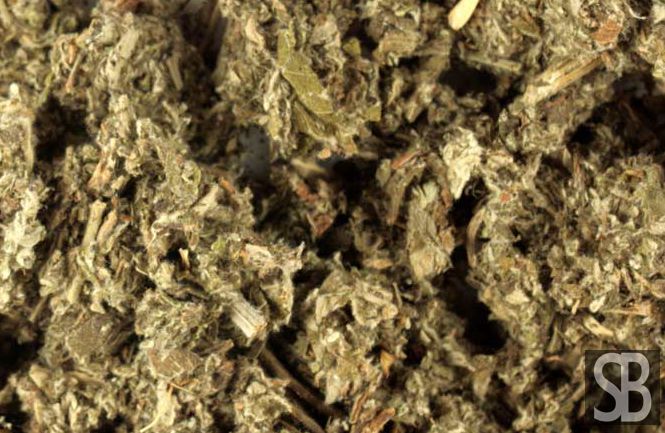 Processed Mugwort Leaf