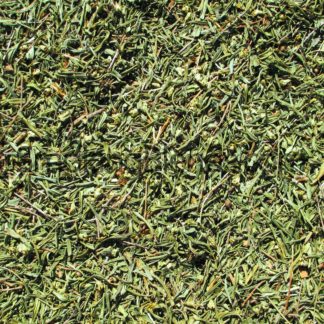 Sinicuichi Leaf | Heimia Salicifolia | Wild Crafted