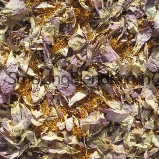 Sacred Lotus Flowers Pure Petals and Stamens