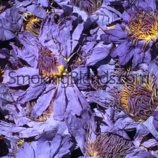 Whole Blue Lotus Flowers Grade A+