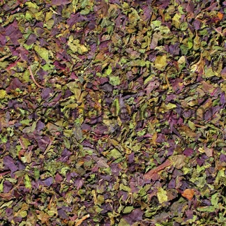 Perilla Leaf | Perilla Fruitescens Folium