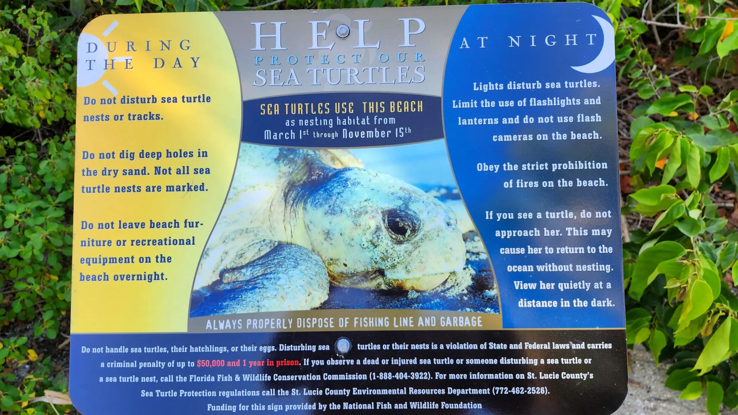 Sign on the Beach About Protecting Sea Turtles