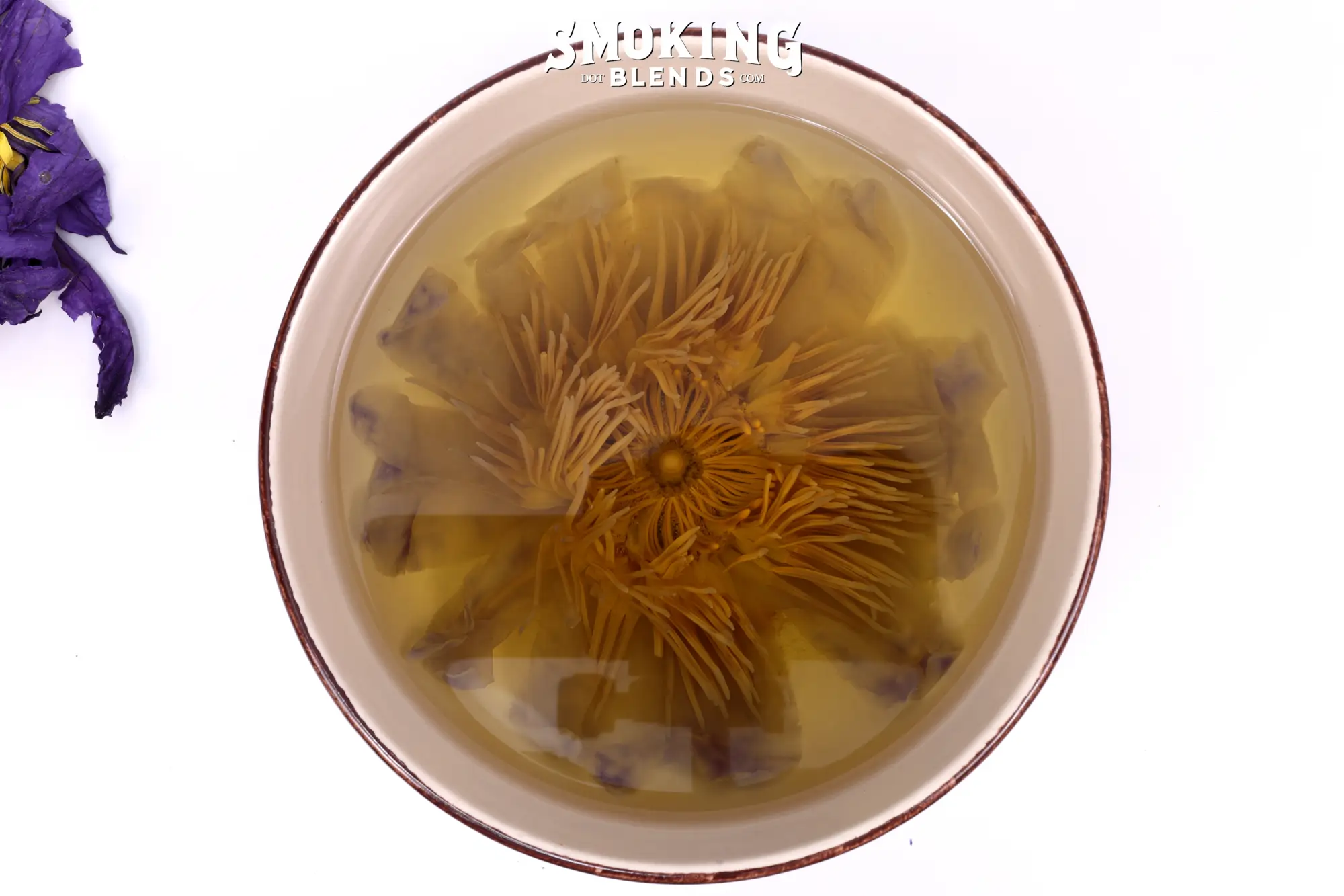 A Whole Blue Lotus Flower in Tea