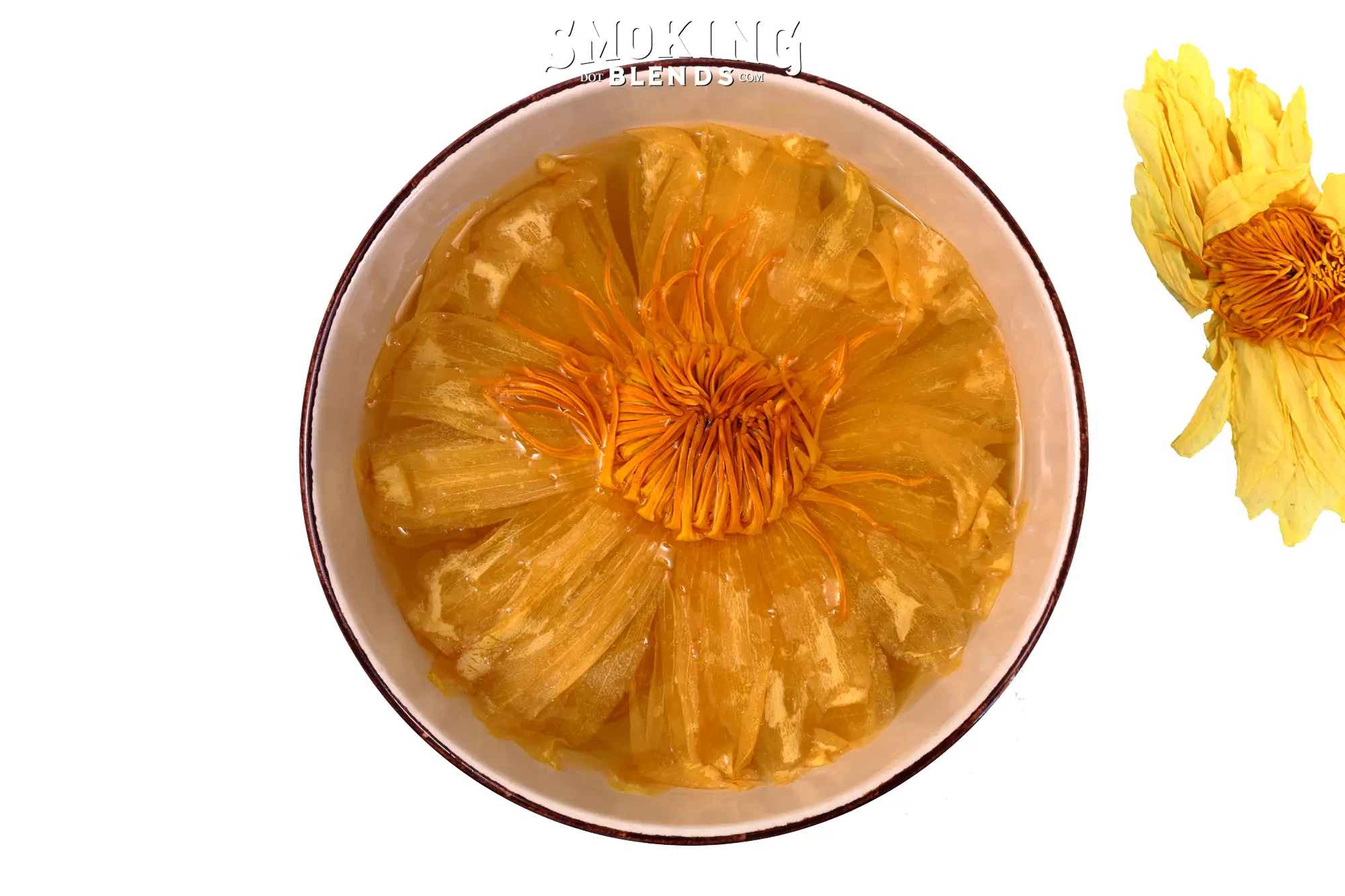 Beautiful Cup of Yellow Lotus Whole Flower Tea