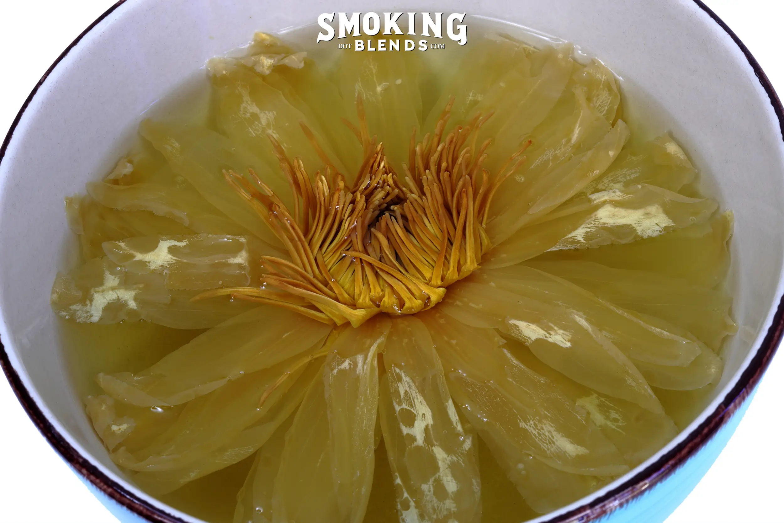 Yellow Lotus Flowers | Nymphaea Mexicana - Image 6