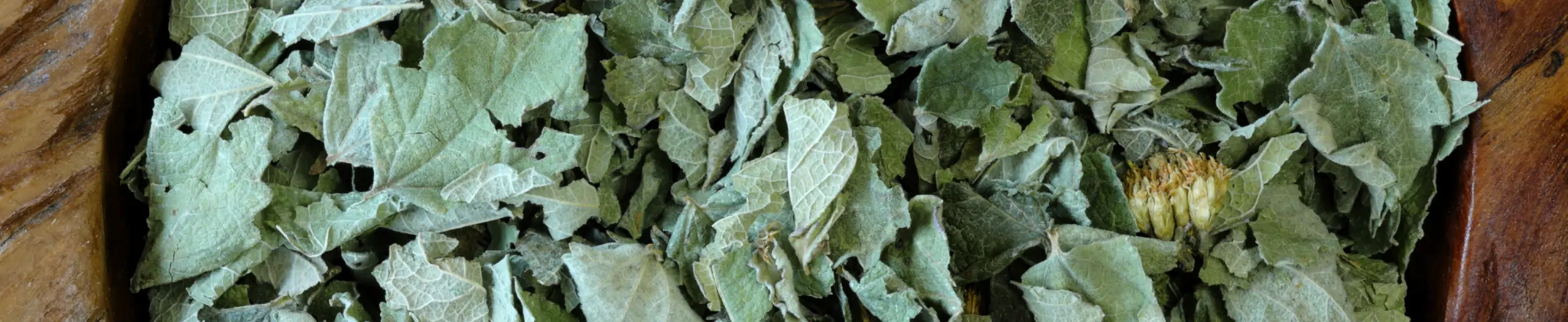 Smoking Blends Blog Banner