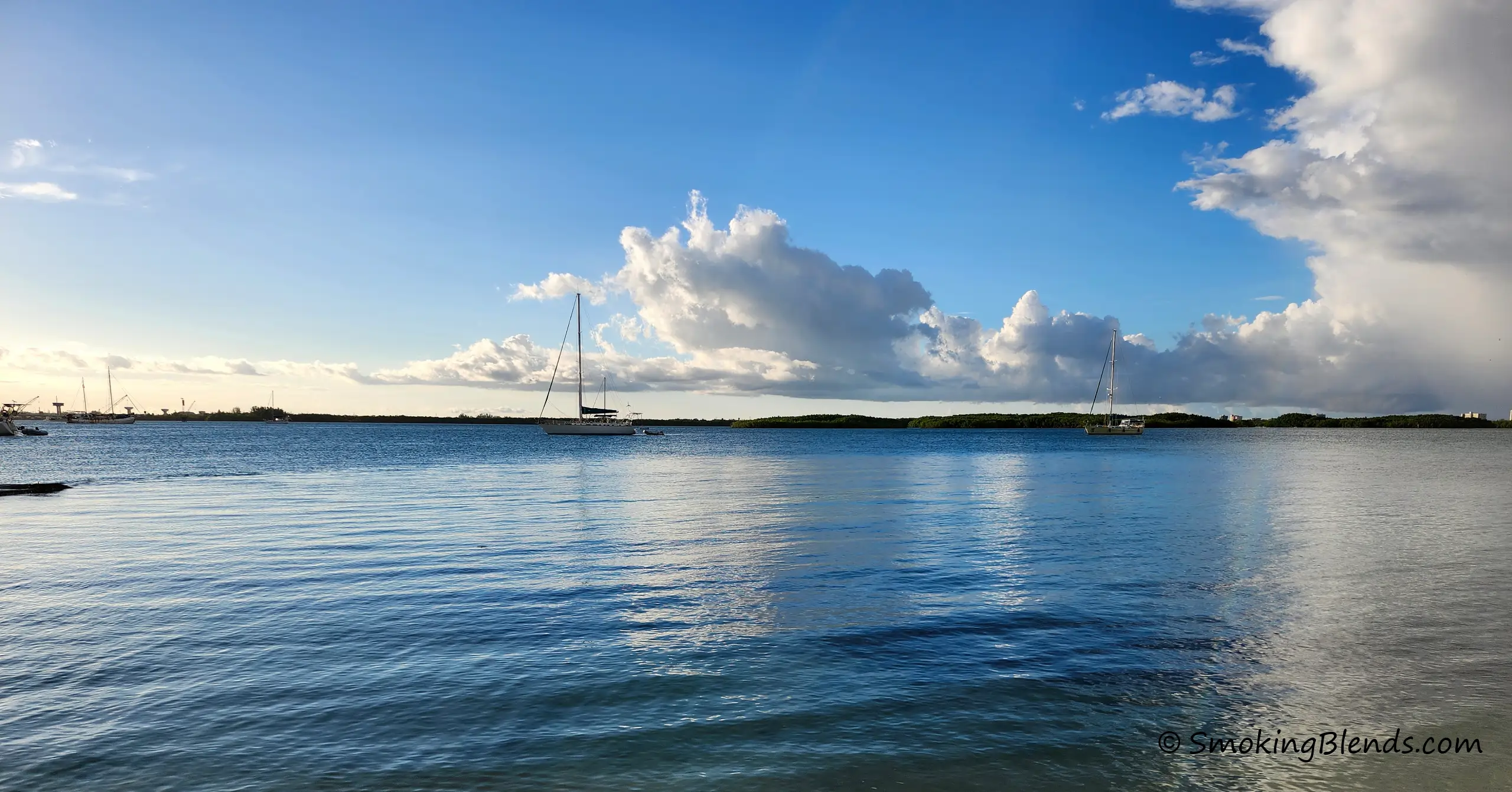 Terms of Service Featured Image (The image shows a tranquil waterscape with sailboats under a partly cloudy sky.) The prominent sailboat is a Bavaria C50.