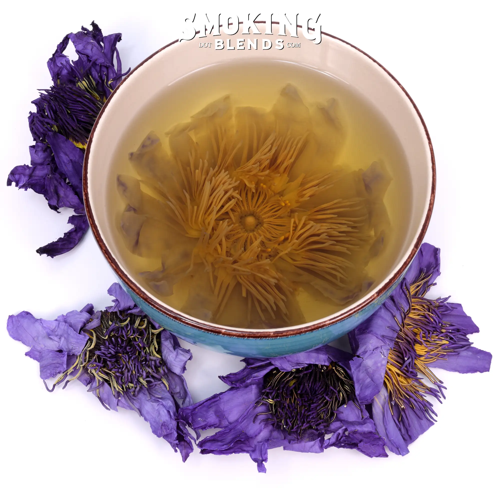 Blue Lotus Tea - Whole Flower - Image 2