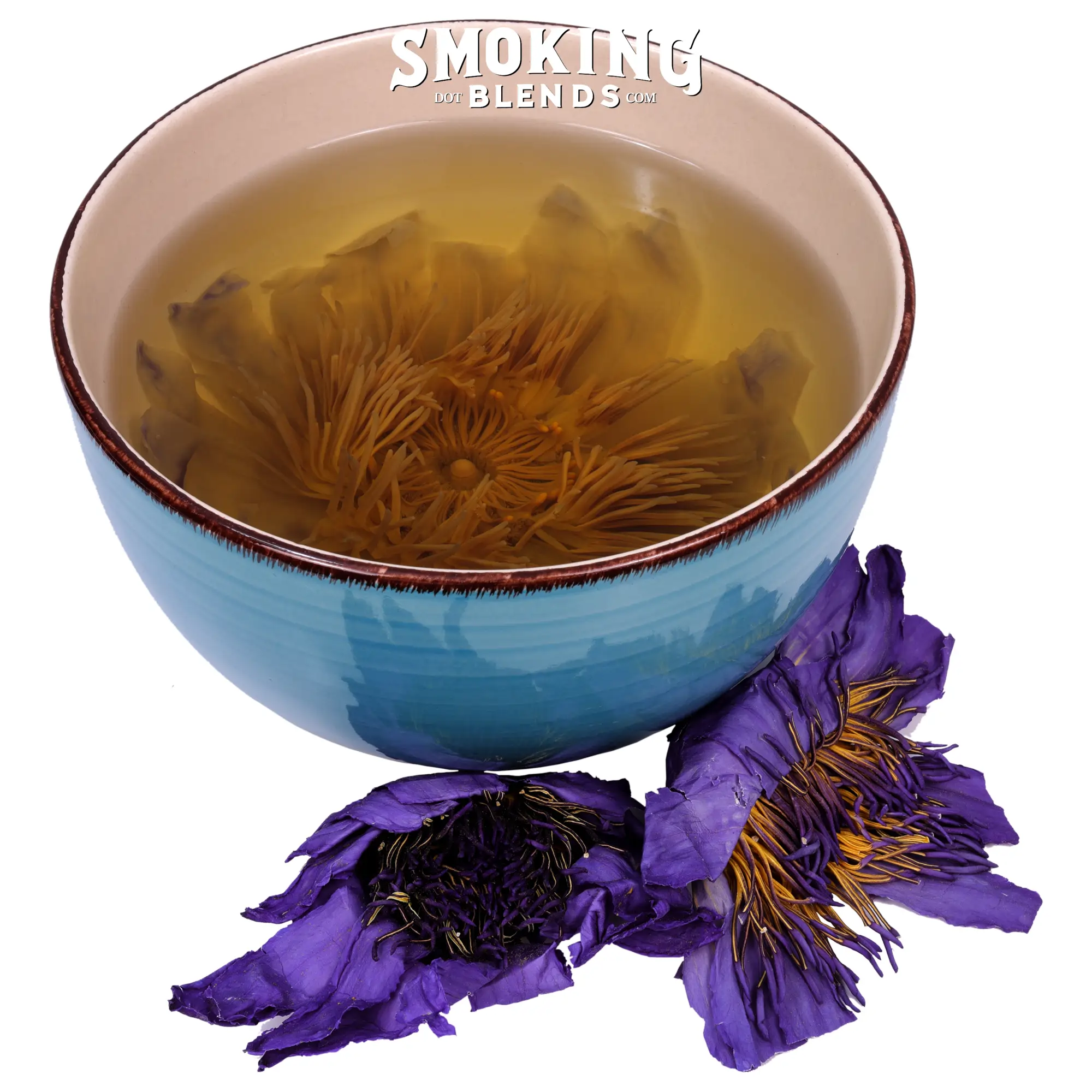 Whole Blue Lotus Flower in a Tea Cup