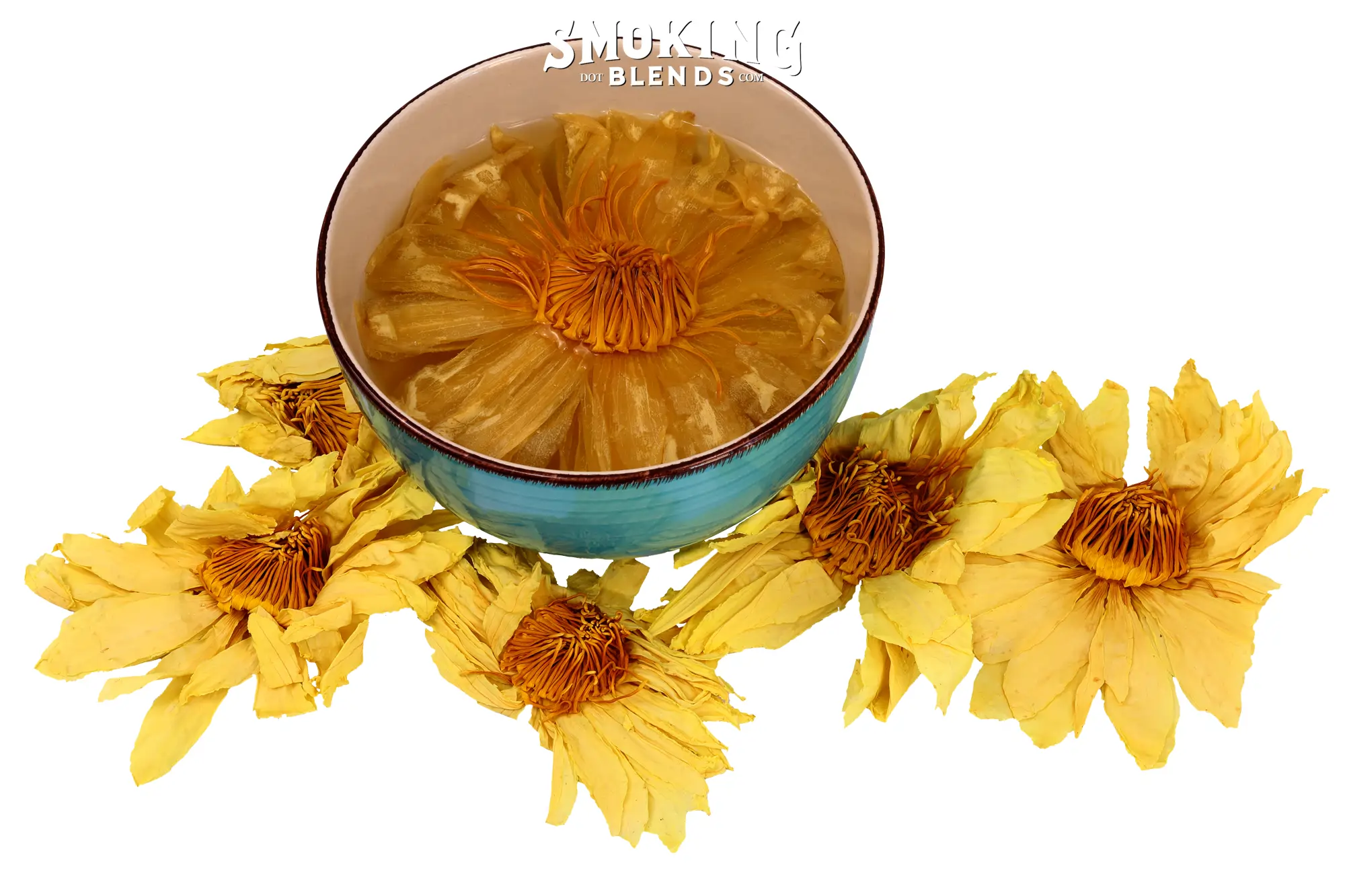 Yellow Lotus Whole Flowers