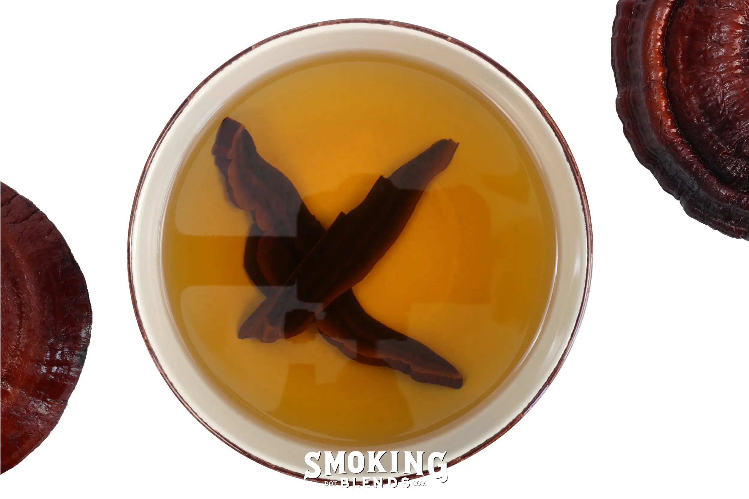 Top-down view of brewed Reishi mushroom tea in a bowl with slices steeping, framed by premium whole dried Red Reishi caps (Ganoderma lucidum).