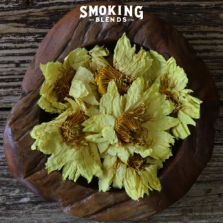 Whole Yellow Lotus Flowers Displayed in Wood Bowl